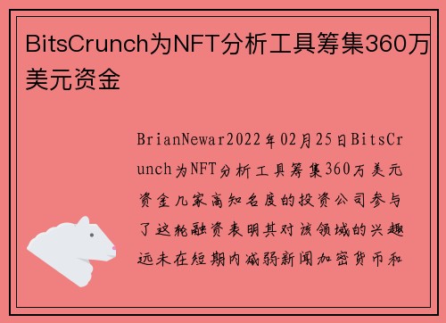 BitsCrunch为NFT分析工具筹集360万美元资金 